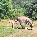 度假居 Ancienne Ferme Renovee Avec Jardin Prive, Poele A Bois Et Terrasse - Fr-1-582-44