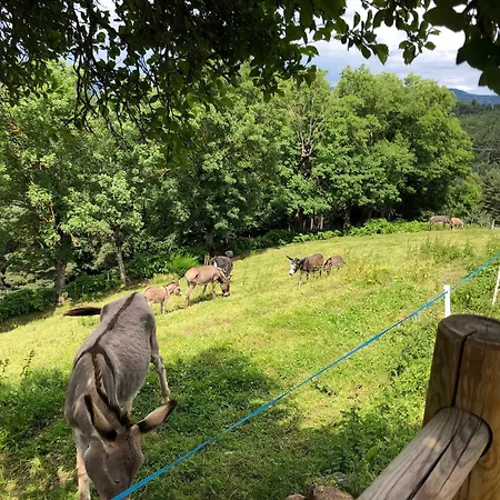 Ancienne Ferme Renovee Avec Jardin Prive, Poele A Bois Et Terrasse - Fr-1-582-44 Saint-Prejet-d'Allier