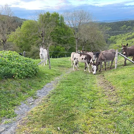 Ancienne Ferme Renovee Avec Jardin Prive, Poele A Bois Et Terrasse - Fr-1-582-44 Tatil Evi