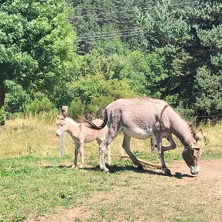 بيت للعطل Ancienne Ferme Renovee Avec Jardin Prive, Poele A Bois Et Terrasse - Fr-1-582-44
