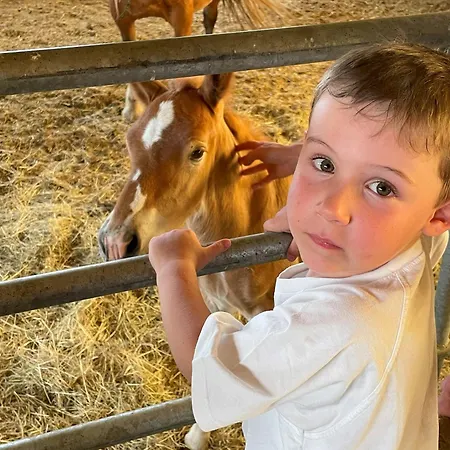 Ancienne Ferme Renovee Avec Jardin Prive, Poele A Bois Et Terrasse - Fr-1-582-44 Saint-Prejet-d'Allier