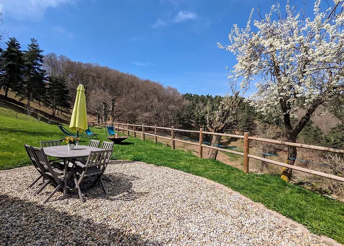 Saint-préjet-d'allier, 4 Pièces, 6 Personnes - Fr-1-582-44