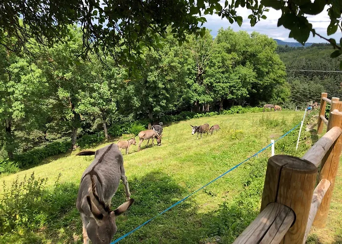 Ancienne Ferme Renovee Avec Jardin Prive, Poele A Bois Et Terrasse - Fr-1-582-44 Saint-Prejet-d'Allier