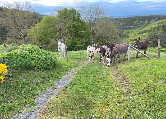 Saint-préjet-d'allier, 4 Pièces, 6 Personnes - Fr-1-582-44 Casa vacanze