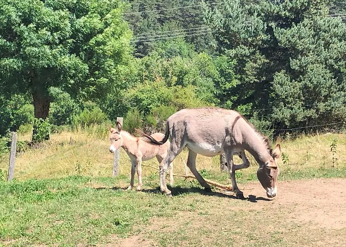 Casa vacanze Saint-préjet-d'allier, 4 Pièces, 6 Personnes - Fr-1-582-44