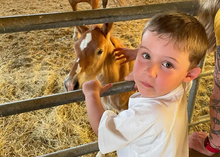 Ancienne Ferme Renovee Avec Jardin Prive, Poele A Bois Et Terrasse - Fr-1-582-44 Holiday home